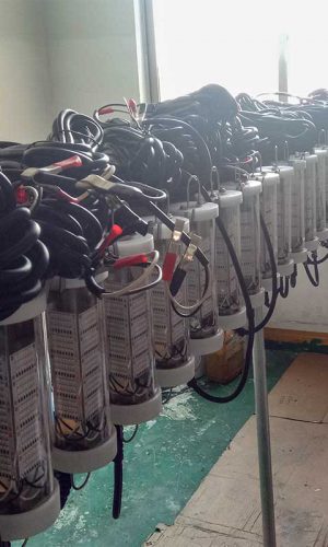 fishing-light-03-800-001