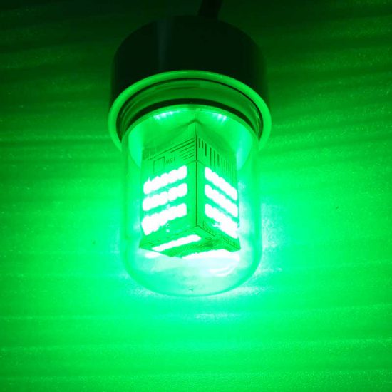 fishing-light-04-800-001