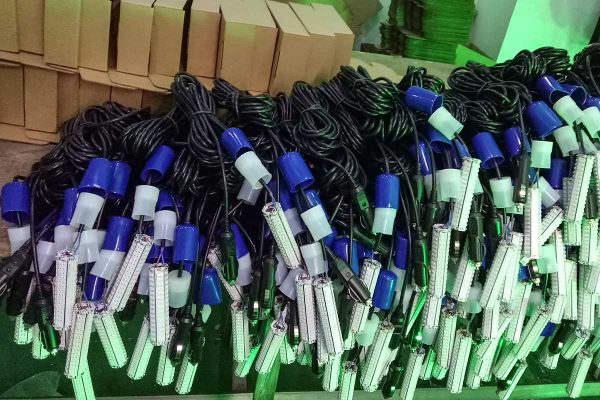 fishing-light-05-1200-001