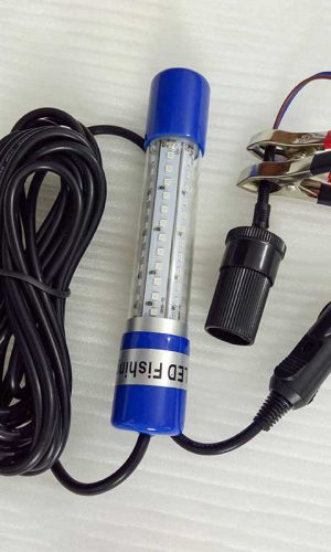 fishing-light-05-800-002